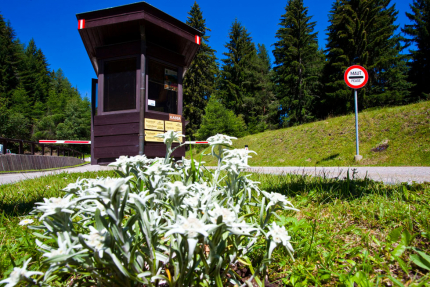 Goldeck – Urlaub in Kärnten am See – Urlaub am Millstätter See – Seevilla Leitner