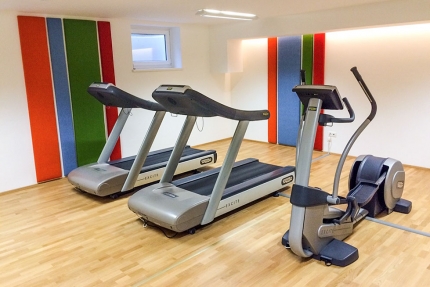 Fitnessraum beim Sporthotel ROYAL X am Millstätter See – Urlaub im Ferienhaus – Ferienhaus am See – Seevilla Leitner – Urlaub in Kärnten am See